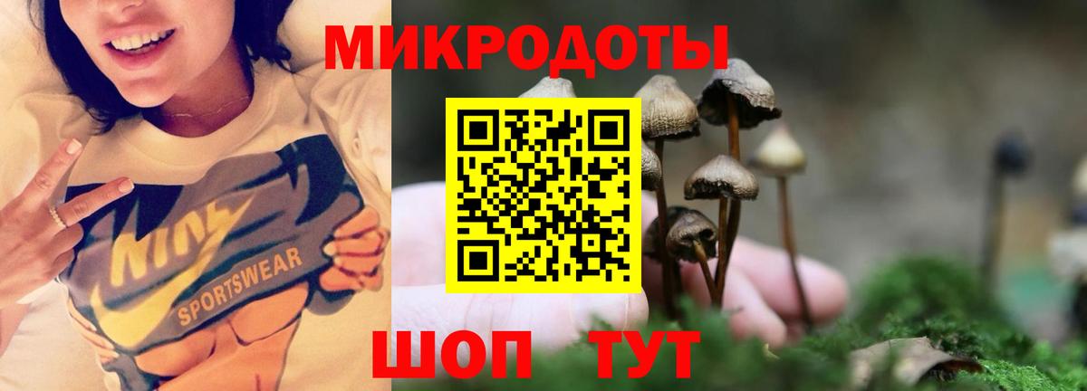 Псилоцибиновые грибы прущие грибы Кондопога