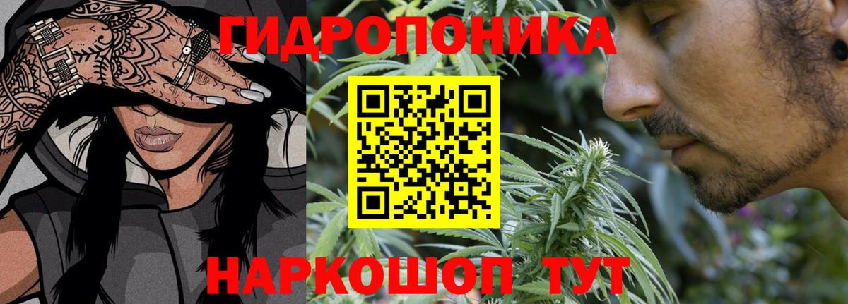 Шишки марихуана план  Конопля OG Kush  Вход с VPN  Кондопога  Каннабис тримм  Бошки Шишки VHQ 